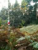 Piwniczna InO 2005 (9).JPG